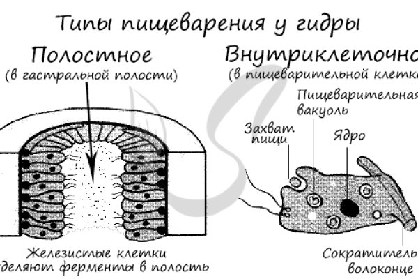 Кракен настоящее зеркало