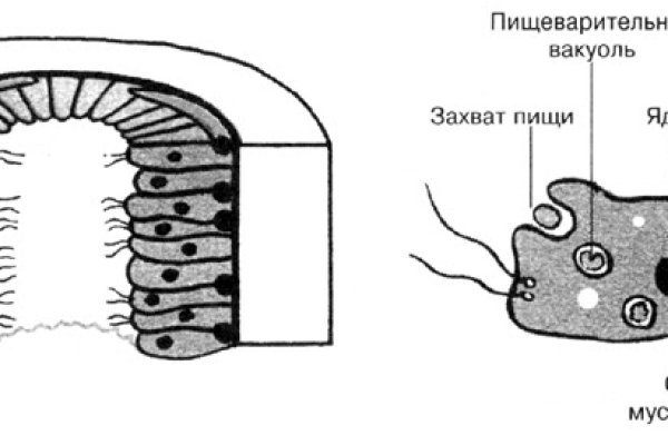 Как вернуть профиль в кракене