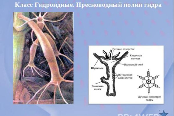 Кракен официальная ссылка зеркало